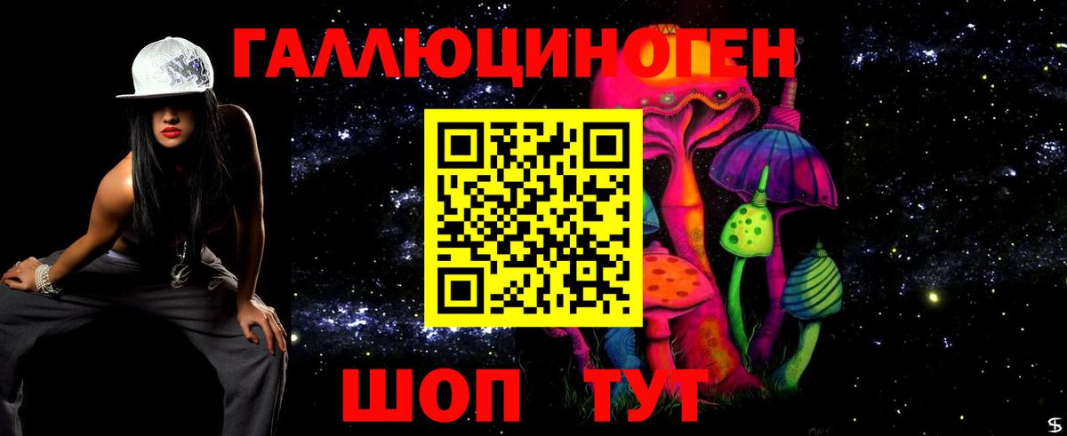 Псилоцибиновые грибы Cubensis Коркино